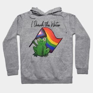 Gay Frogs Hoodie